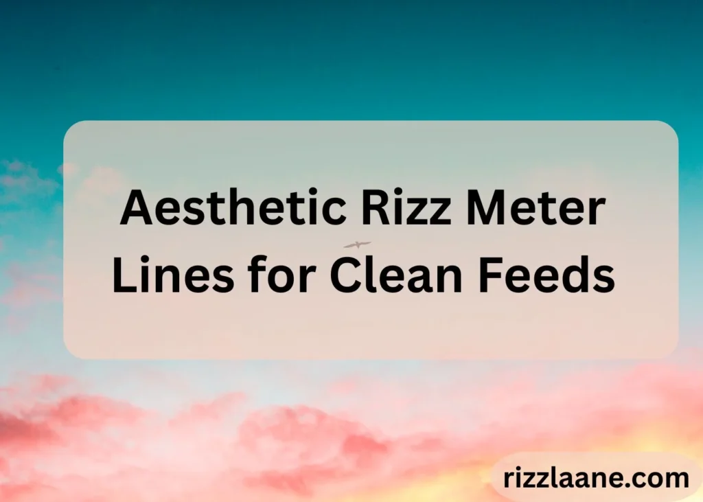 Rizz Meter