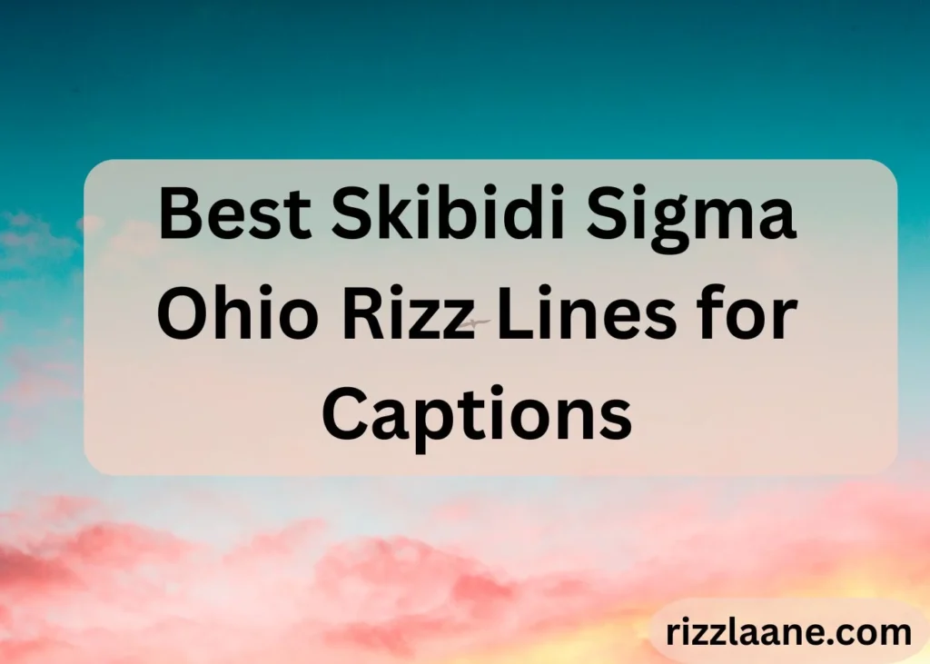 Skibidi Sigma Ohio Rizz