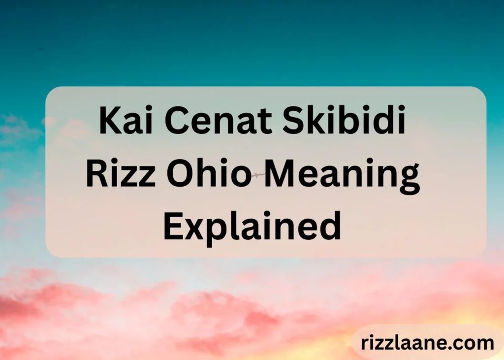 Kai Cenat Skibidi Rizz Ohio