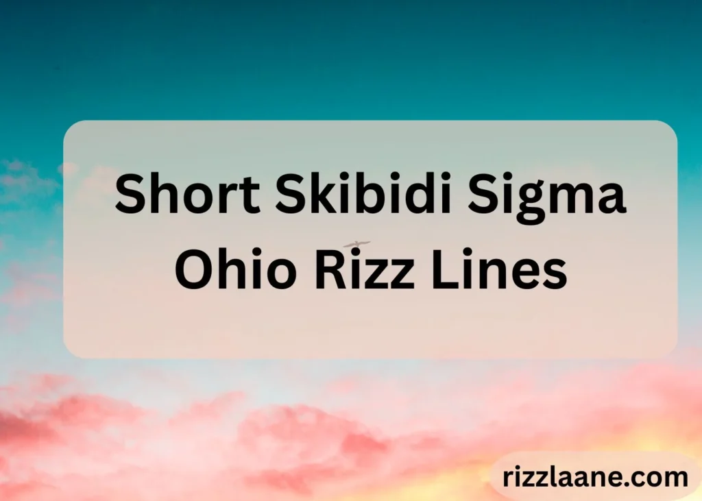 Skibidi Sigma Ohio Rizz
