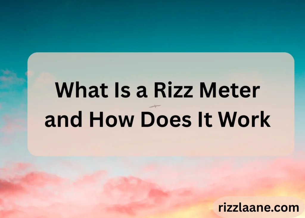 Rizz Meter