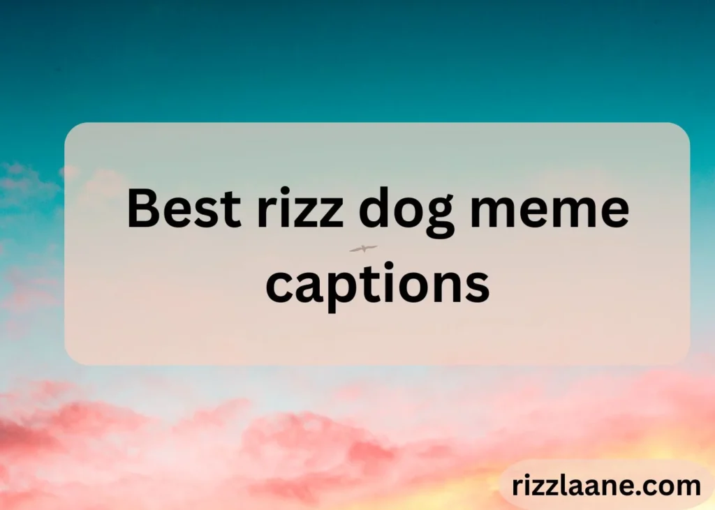 Best rizz dog meme captions