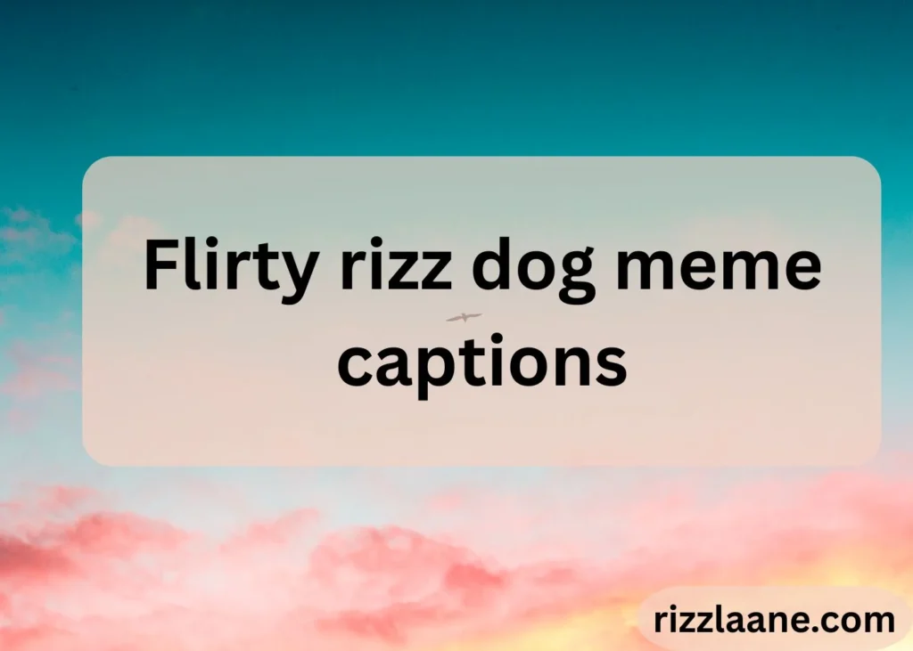 Flirty rizz dog meme captions