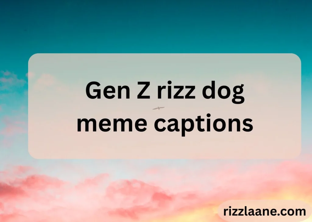 Gen Z rizz dog meme captions