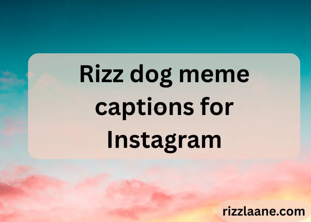 Rizz dog meme captions for Instagram