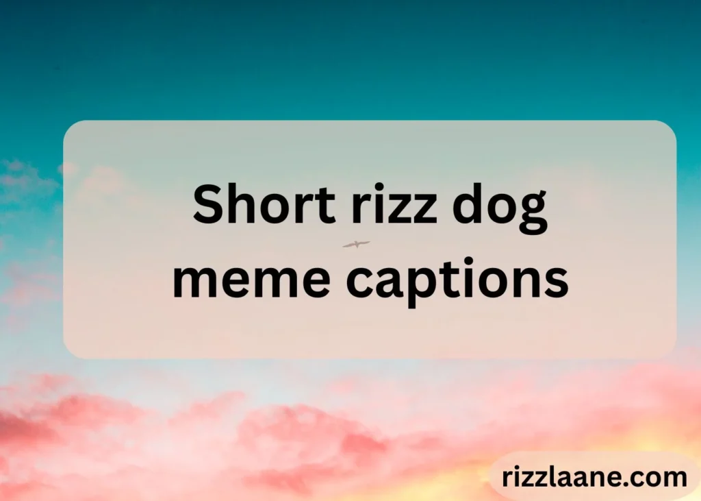 Short rizz dog meme captions