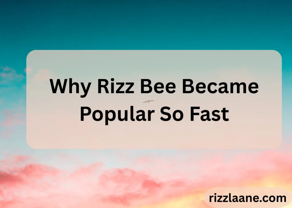 Why Rizz Bee Became Popular So Fast