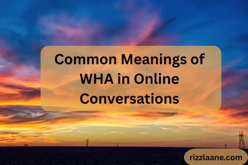 Common Meanings of WHA in Online Conversations