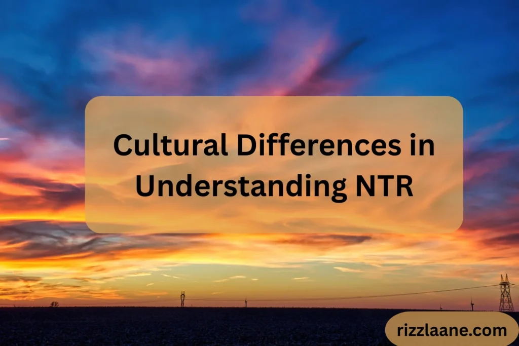 Cultural Differences in Understanding NTR