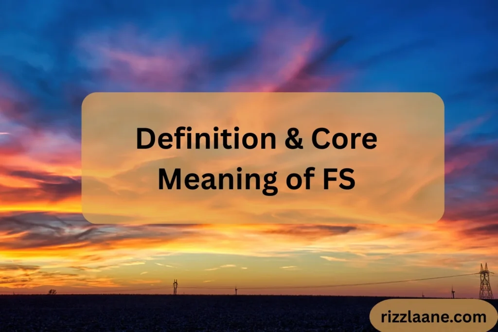 Definition & Core Meaning of FS