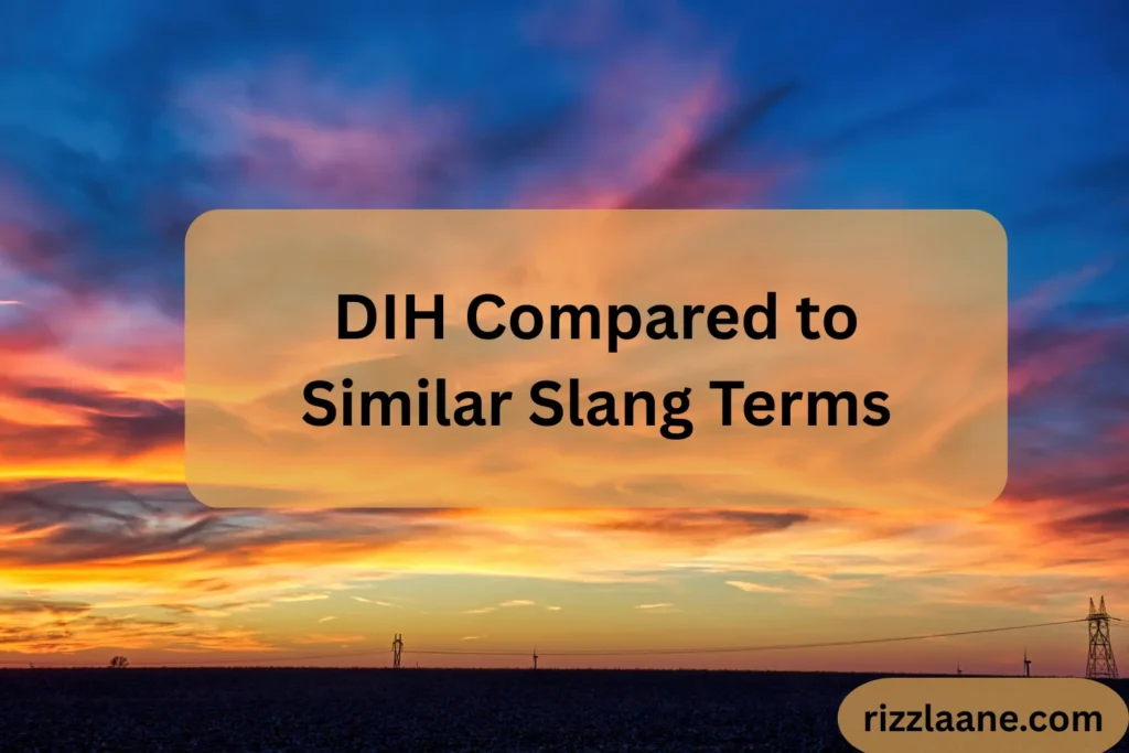 DIH Compared to Similar Slang Terms