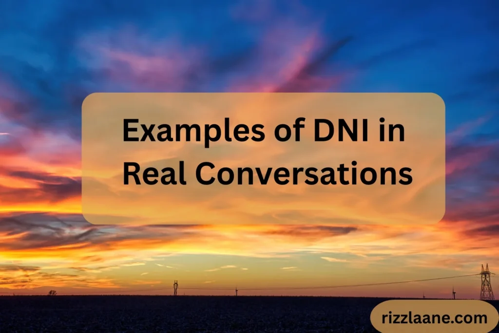 Examples of DNI in Real Conversations