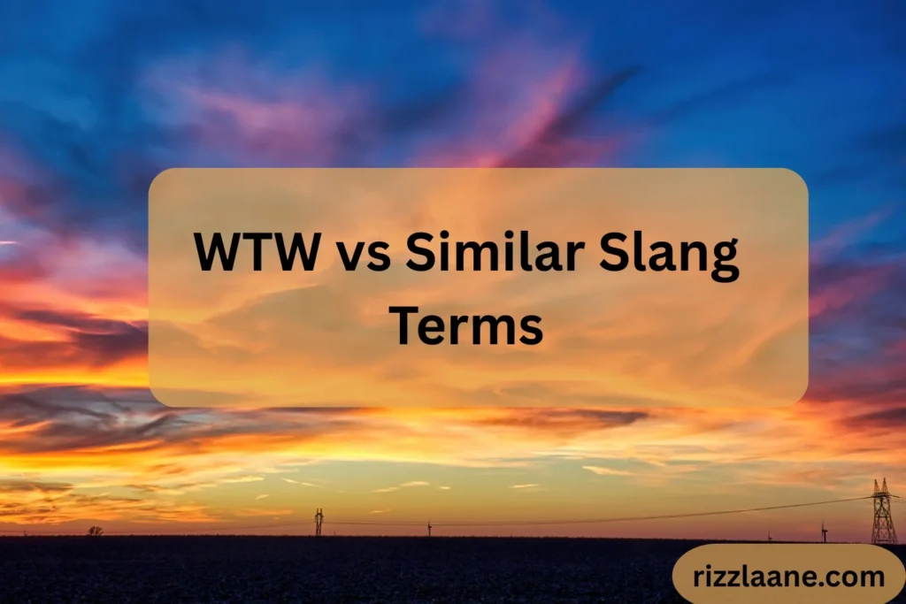 WTW vs Similar Slang Terms
